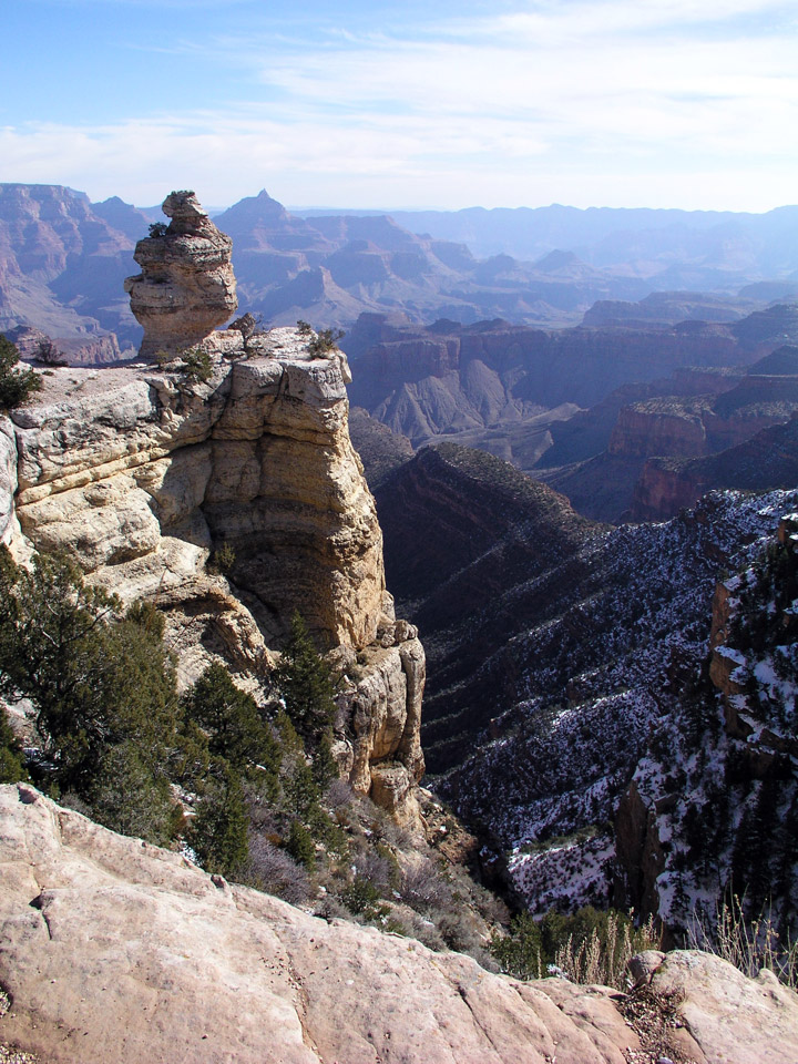 Duck On A Rock Grand Canyon